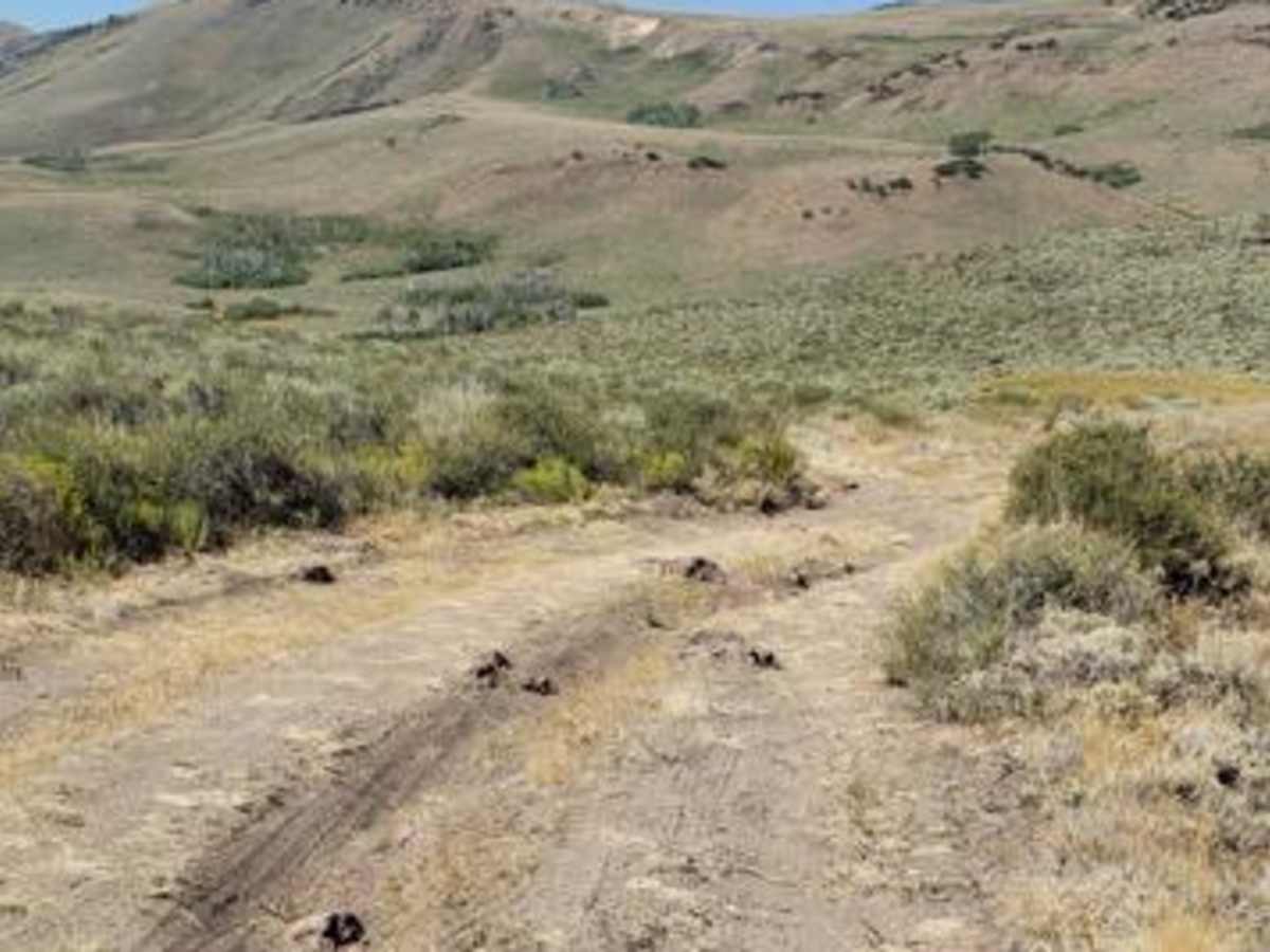 Barnhardy Rd trail photo