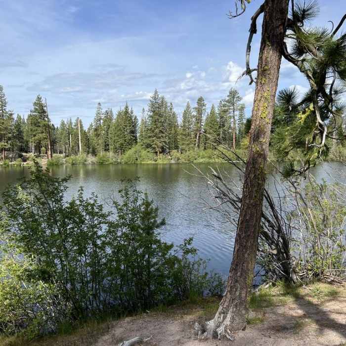 Near Manzanita Lake Loop Trail