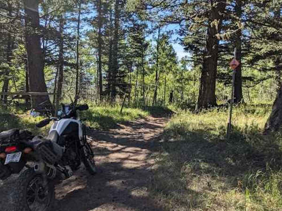 Porcupine Hills Trail 30-33 trail photo