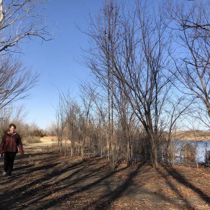 Walking by the trees, one place to find shade in the park. Near North Chisholm Creek Park