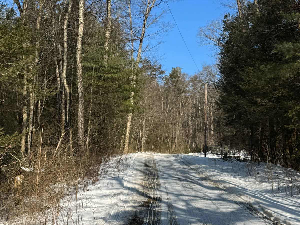 Ohnmeiss Gap Road photo 3