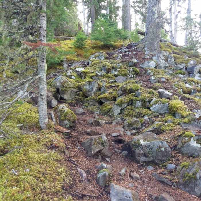 Near Crater Rim Trail