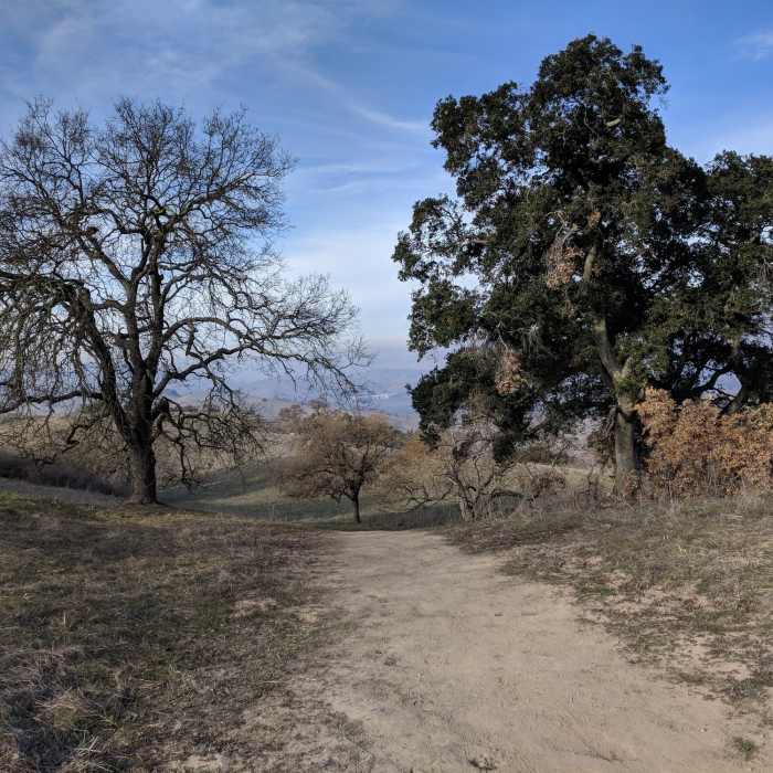 Near Arrowhead Loop Trail