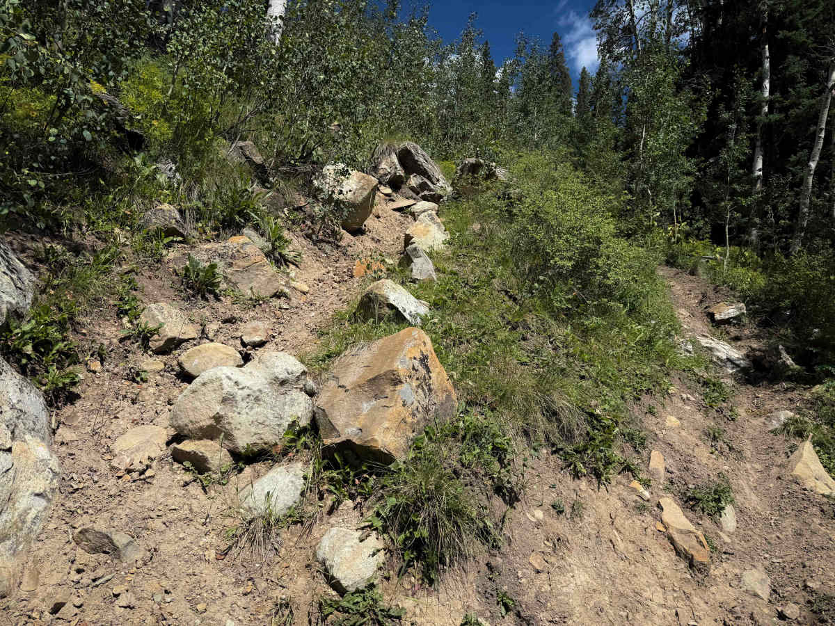 Priest Gulch - Trail 645  photo 4