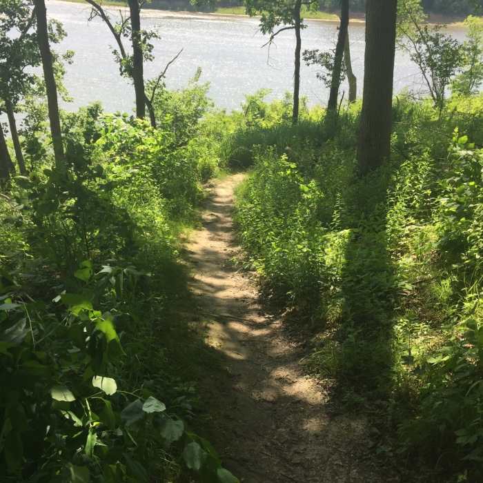 Near Field Campus Trail