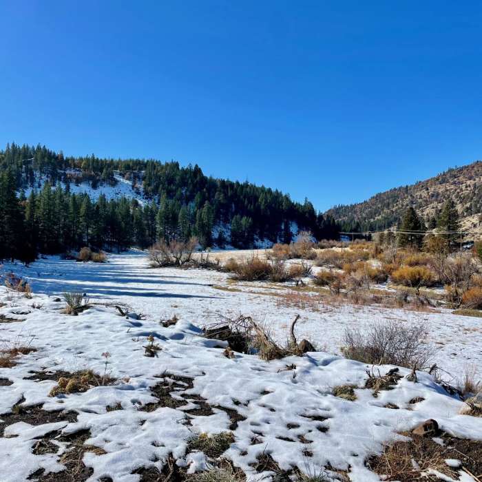 Near Old Paul Bunyan Road + Canyon Trail Loop
