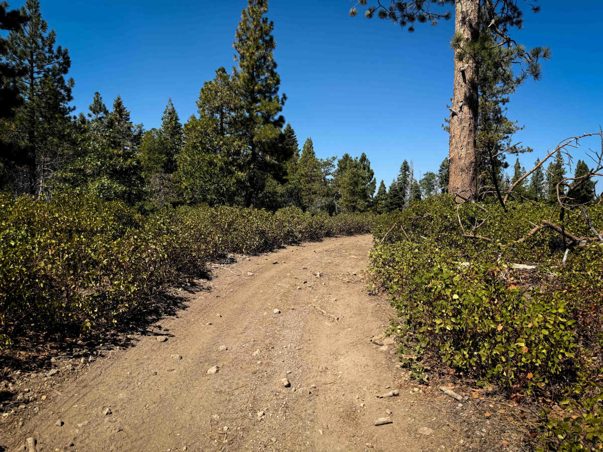 17EV79 trail photo