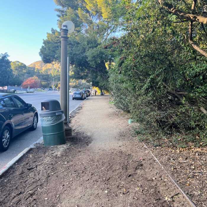 Near Bird Sanctuary Loop