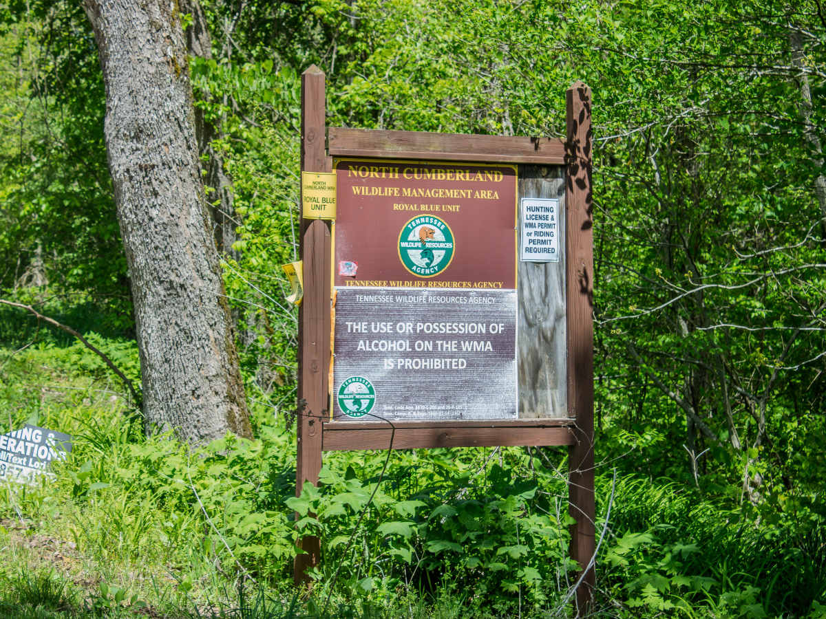 RBS19  trail photo