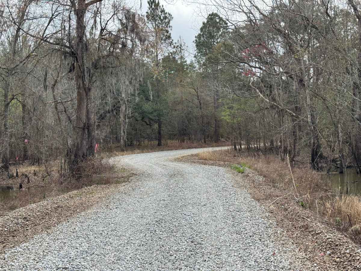 Fishing Road photo 3