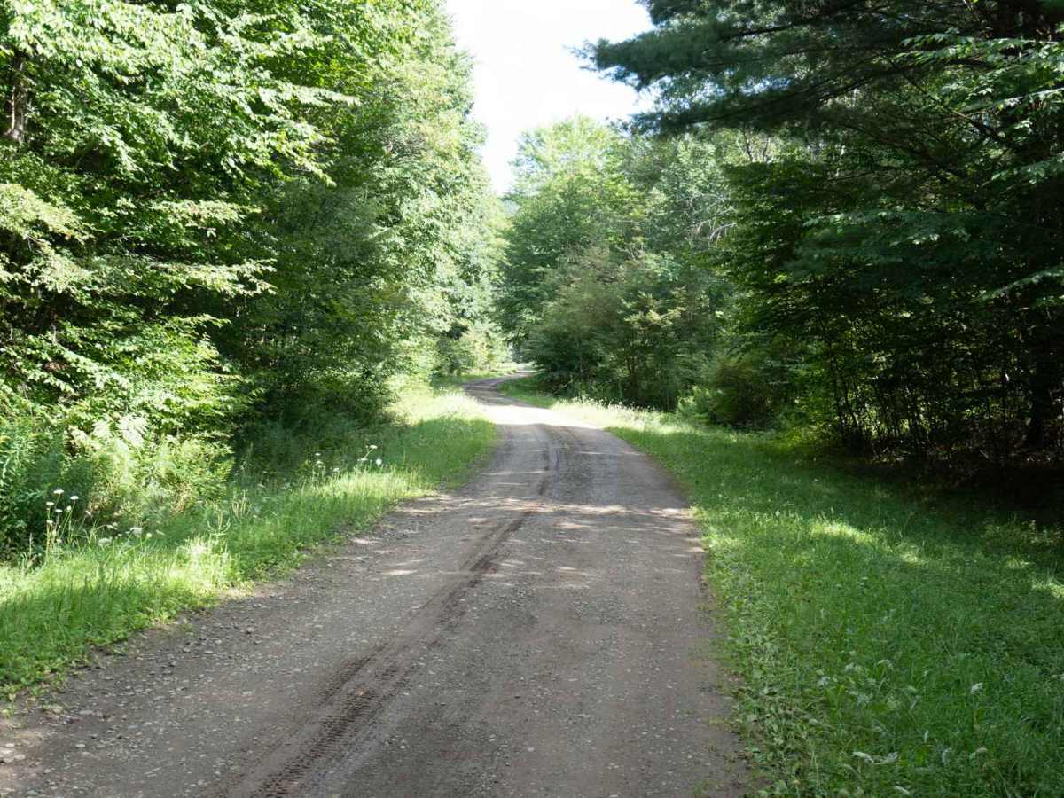 Phearsdorf Forest Road photo 5