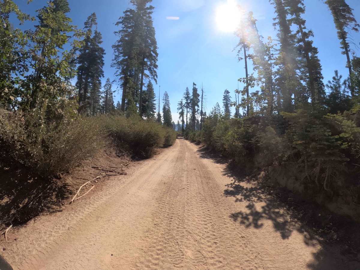 Vista Dome - FS 6S088 photo 6