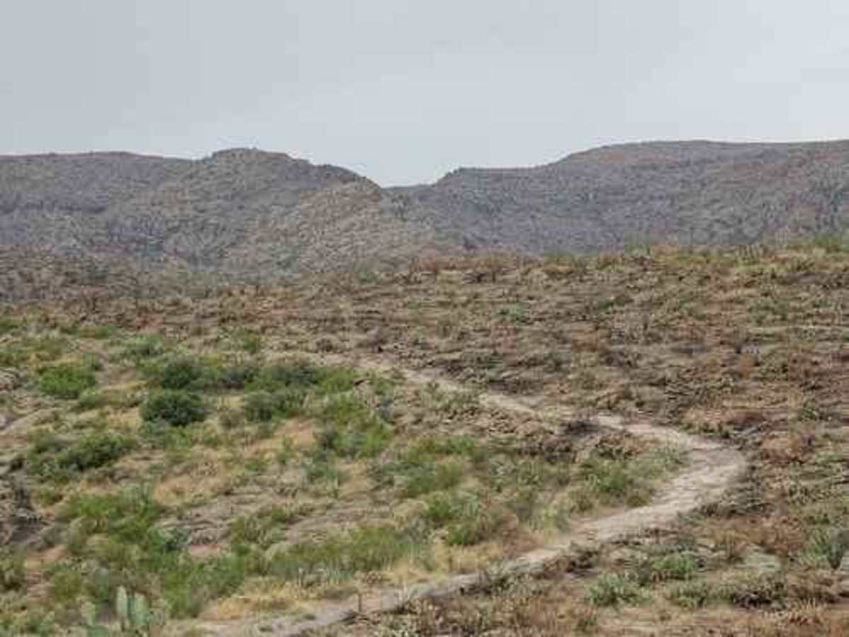 Tortilla Ranch photo 2