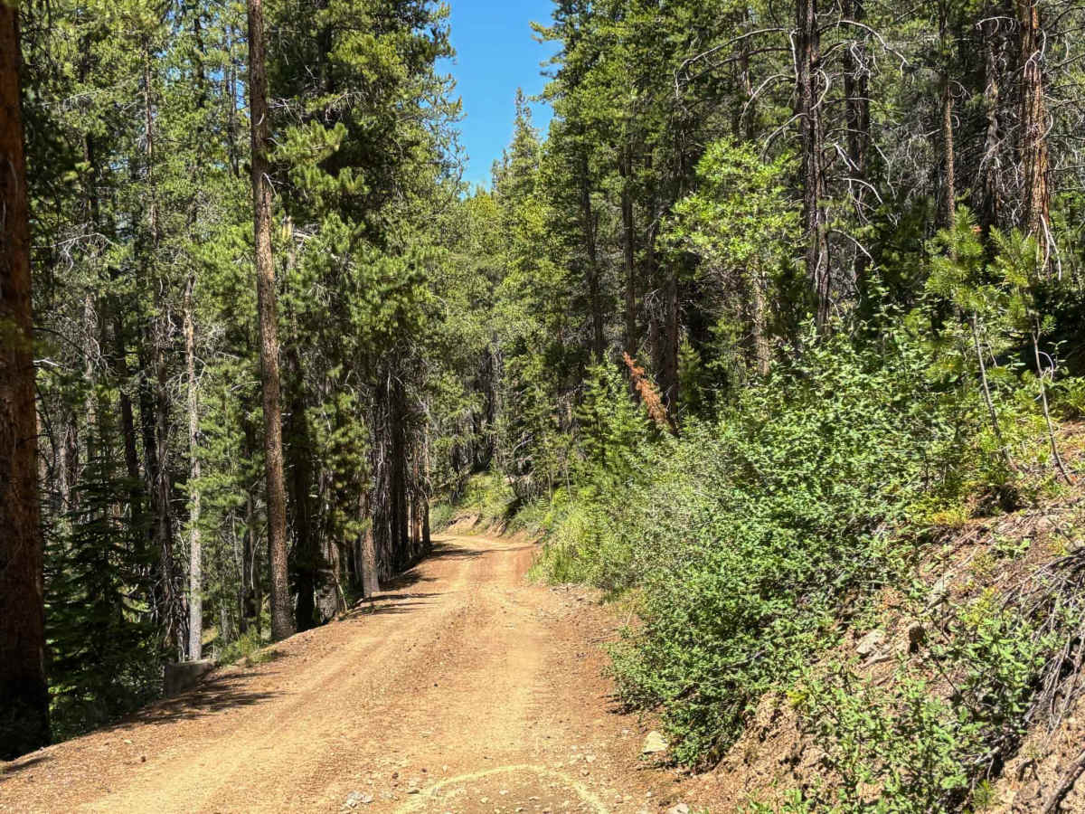 Diemer Lake Loop photo 6