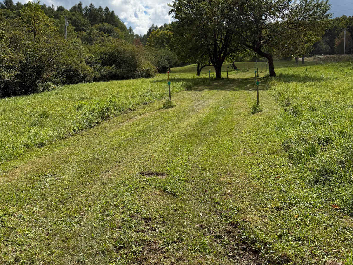 Morgan Run Trail photo 2