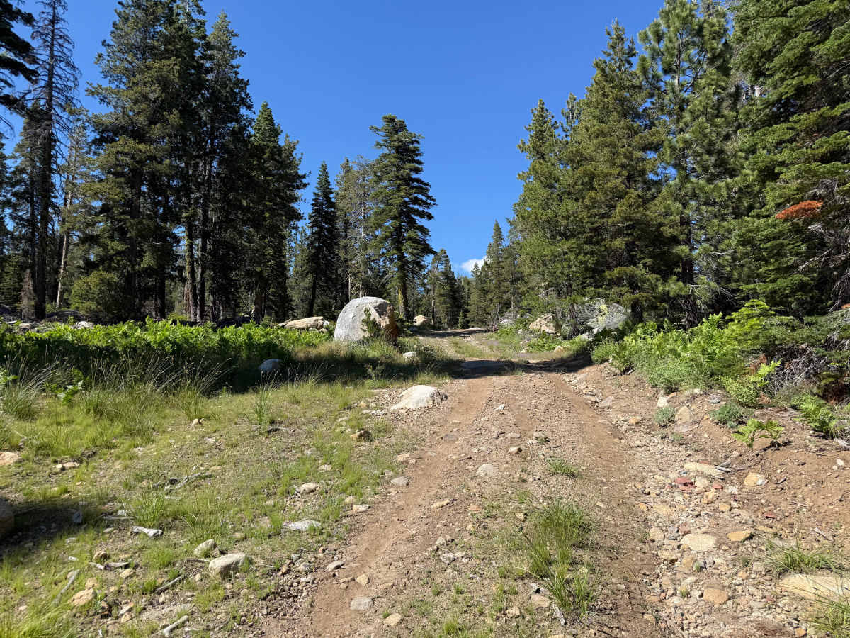 Wilson Meadows Road -  FS 11N37F photo 2