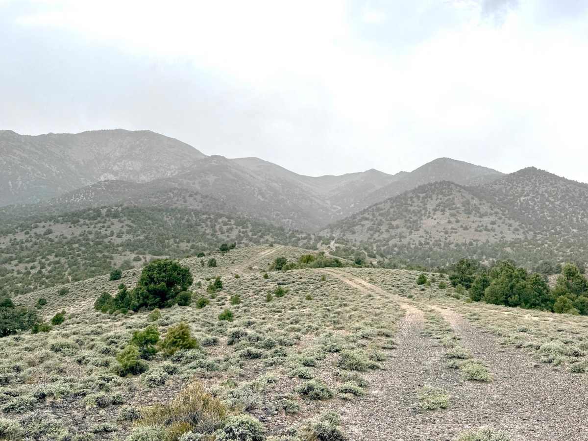 Lowboy Mine Spur A - FS 43251A photo 2