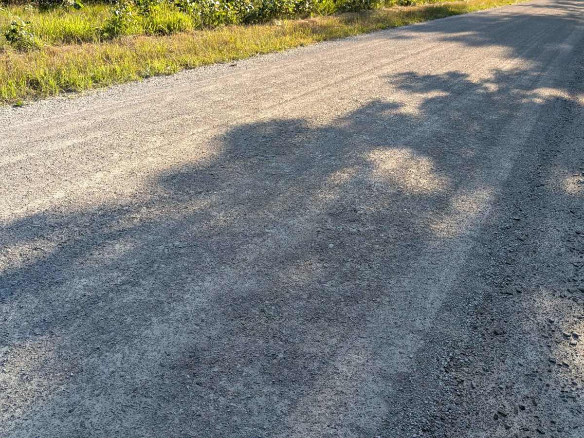 Michigan Road / Jose Road photo 3