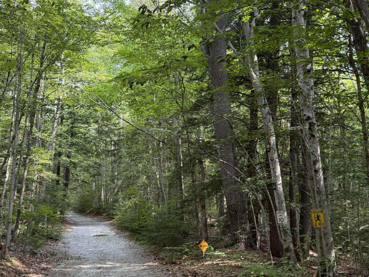 Mink Hill Road trail photo