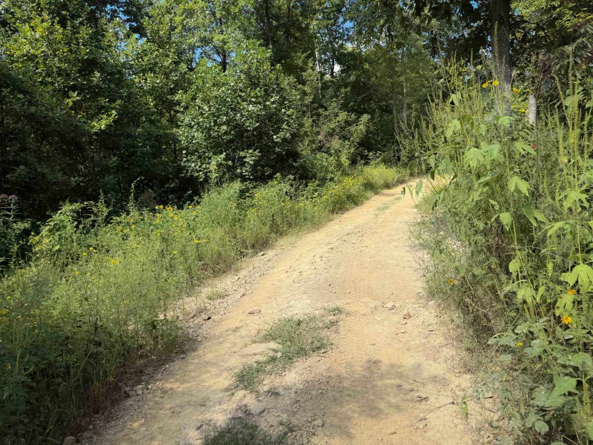 Broyles Branch Trail 17  photo 5