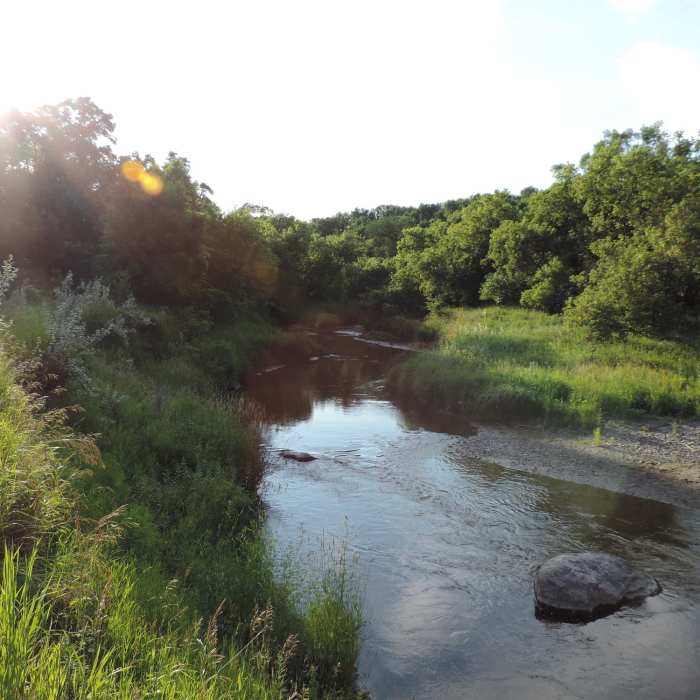Near Fisher Loop