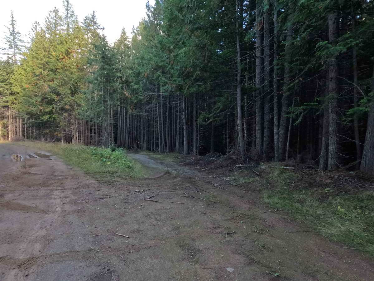 FS 1921055 trail photo