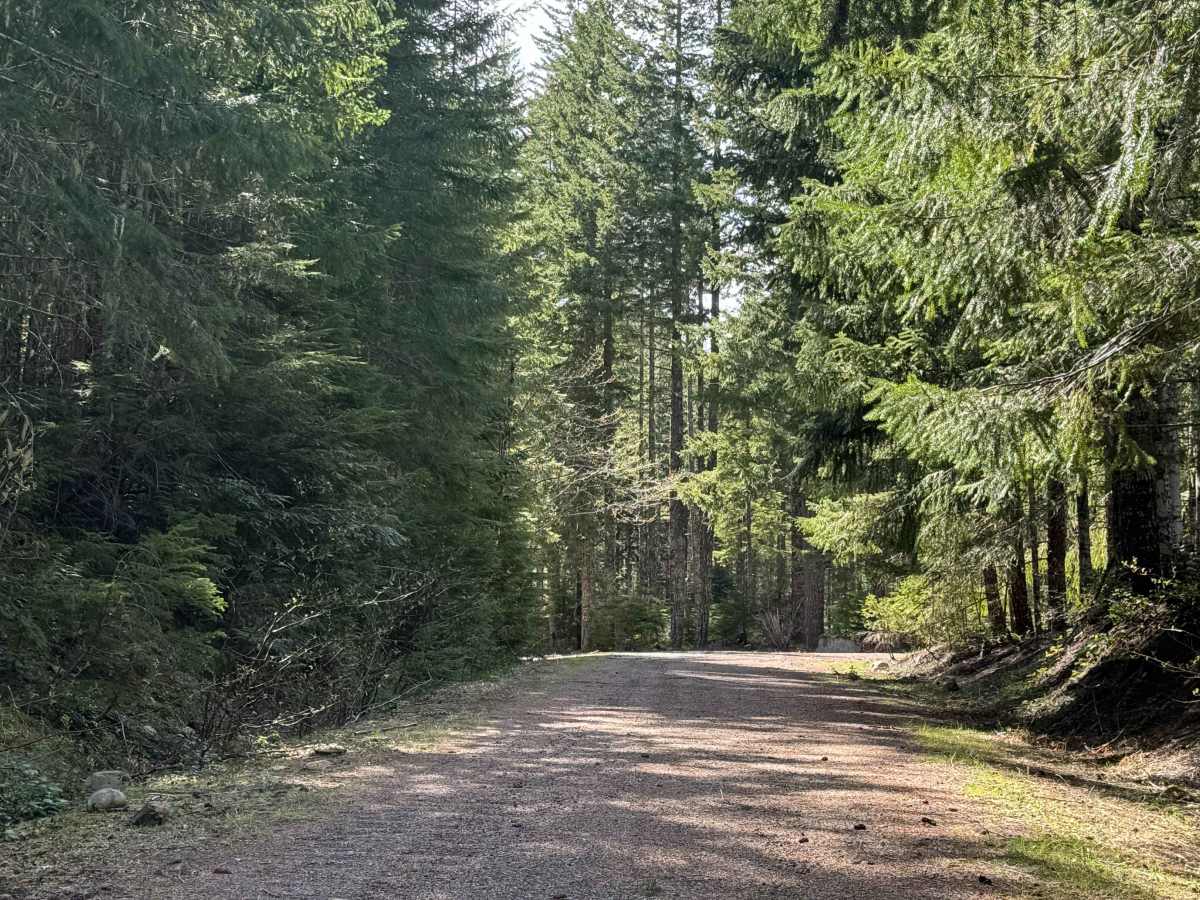 Carlton Creek Road- FS 4400 photo 3