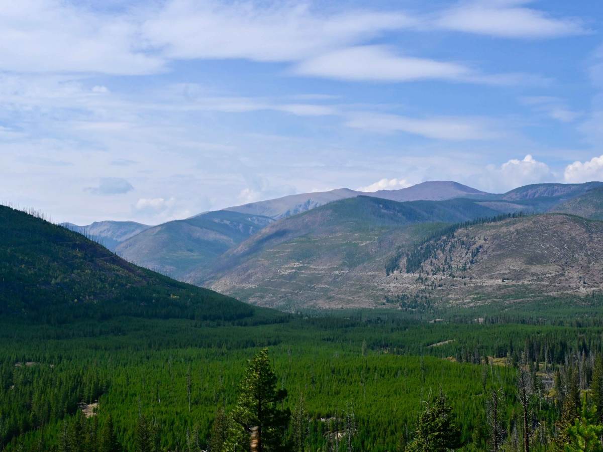 Indian Meadows trail photo
