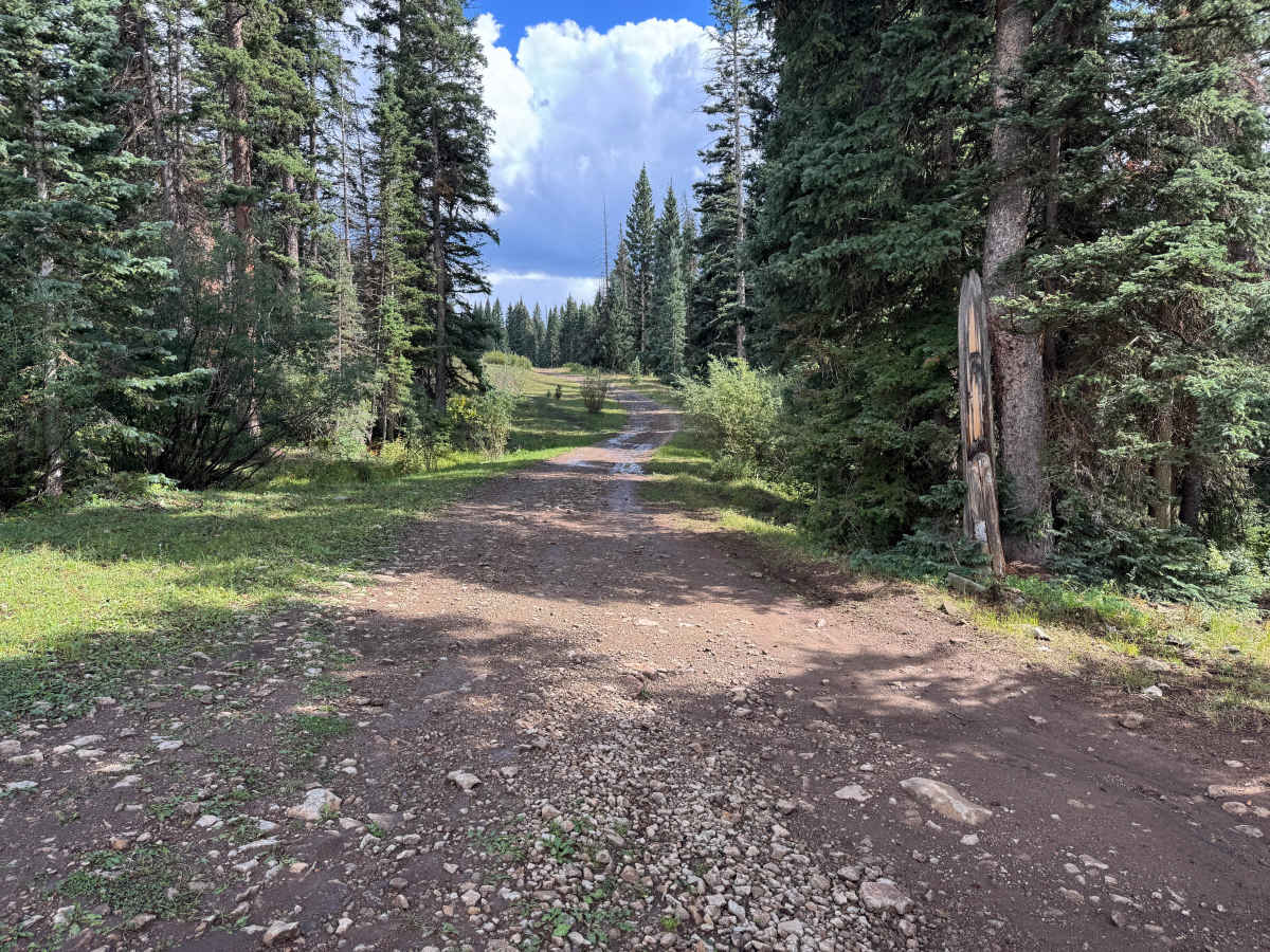 Dillons Cabin Road trail photo