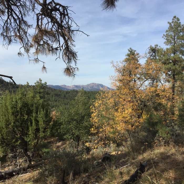 Cold Springs Trail #393 | Hiking Trail Maps, Difficulty, Trail Status | onX
