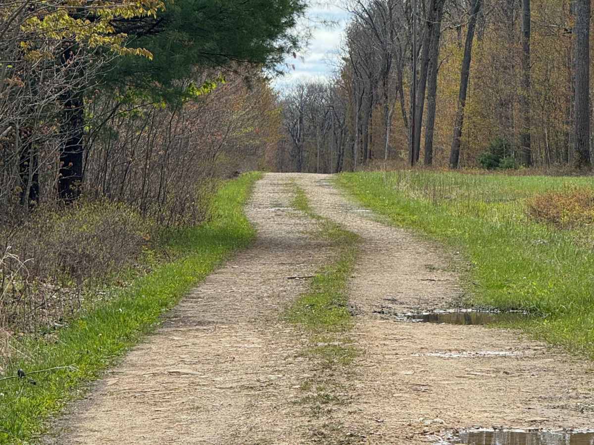 Old Dam Road photo 3