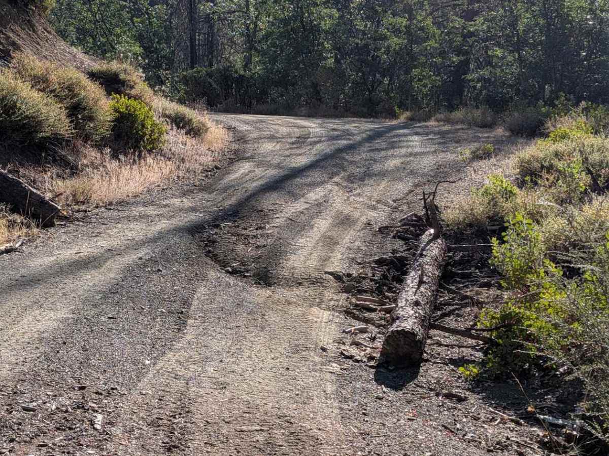 Goods Gulch Road - FS 31N38 photo 6
