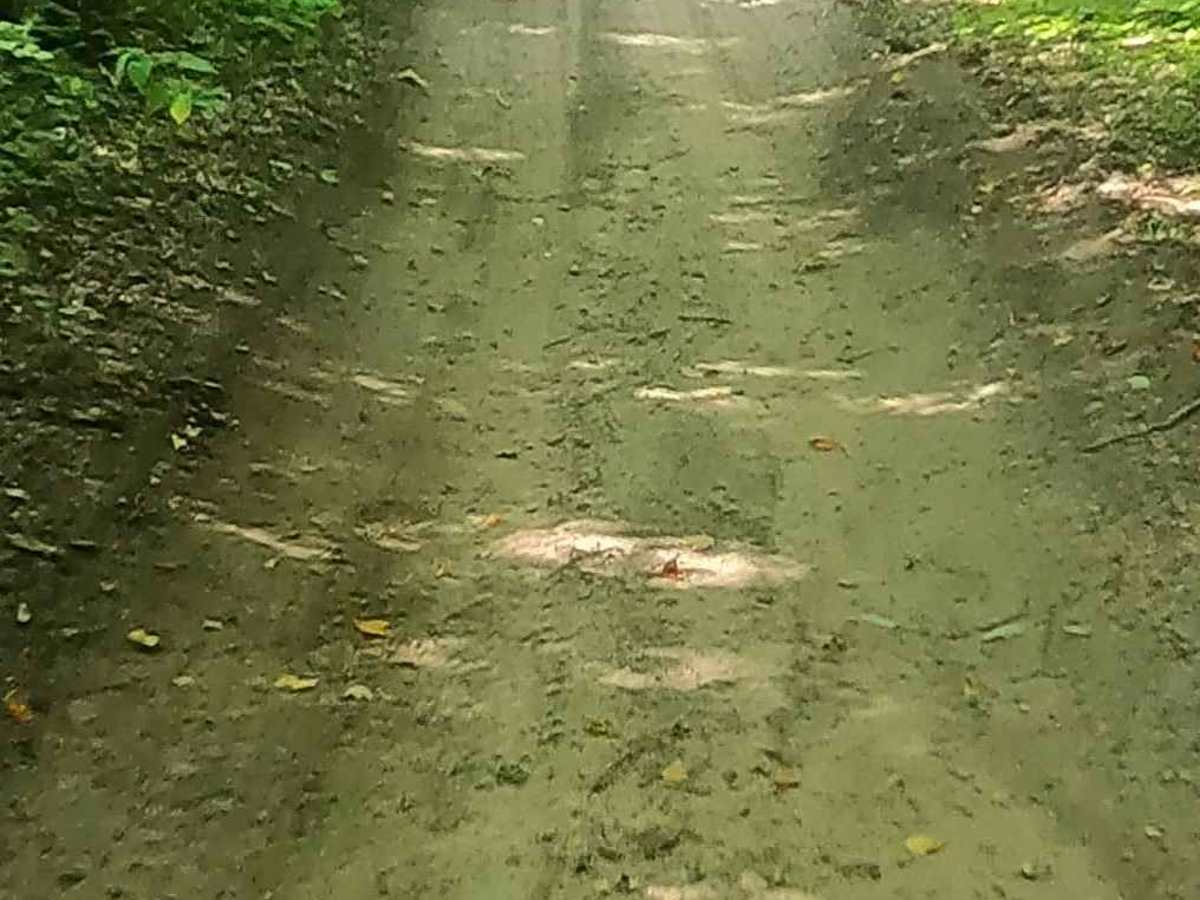 Tucker Lake Trail photo 2