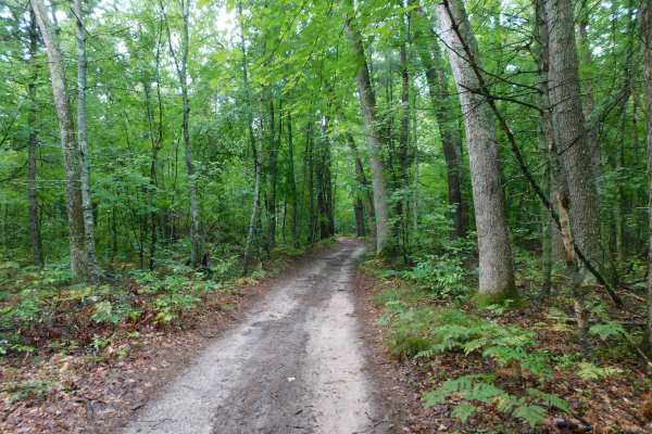Linderman Road Forest Route