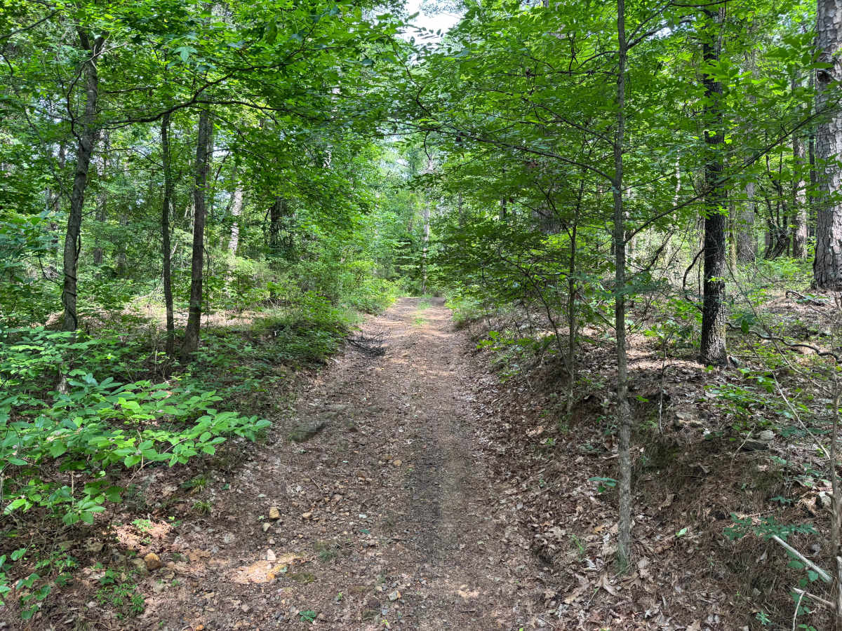 Owens Camp photo 2