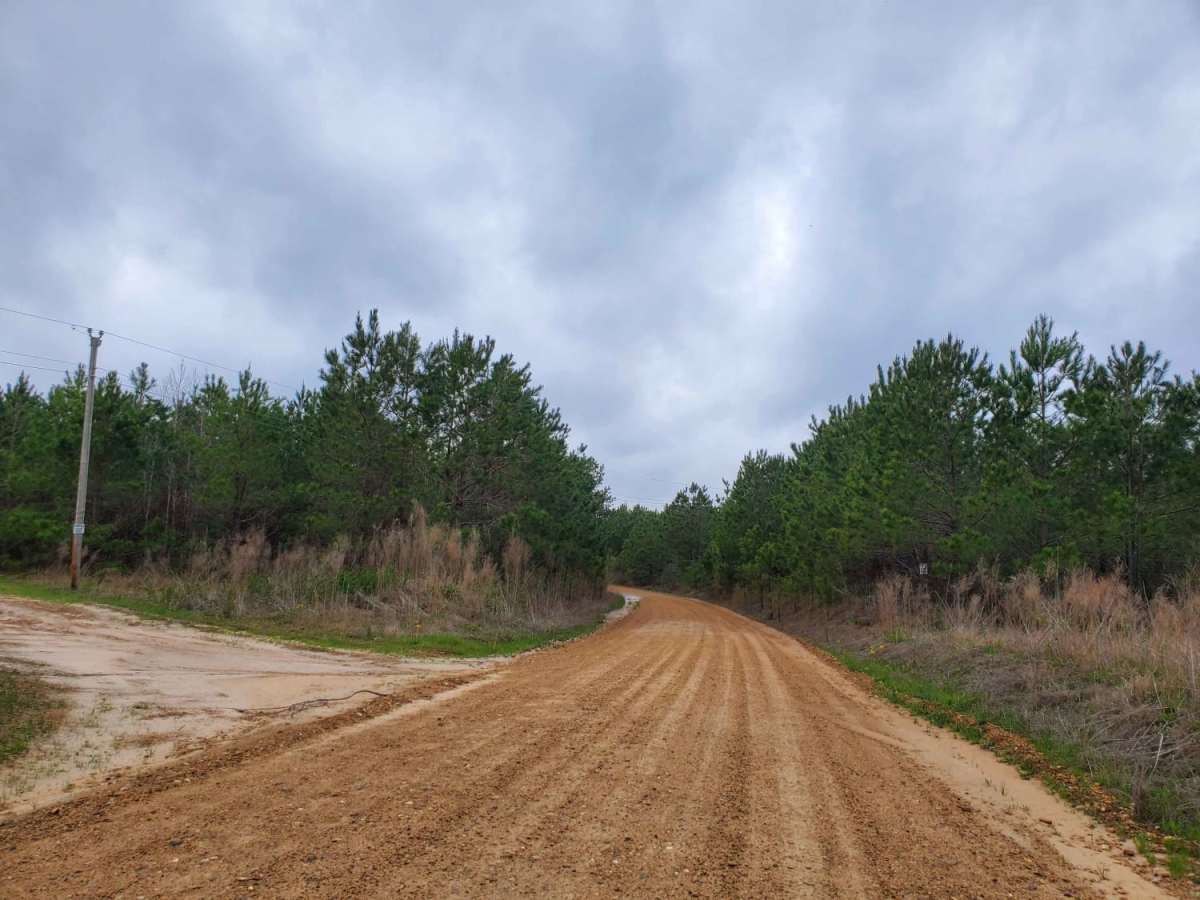 Highway 24 to Poison Springs WMA trail photo