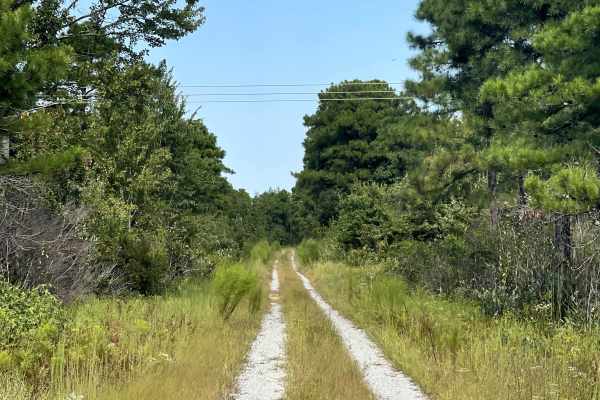 Hines Kiln Road
