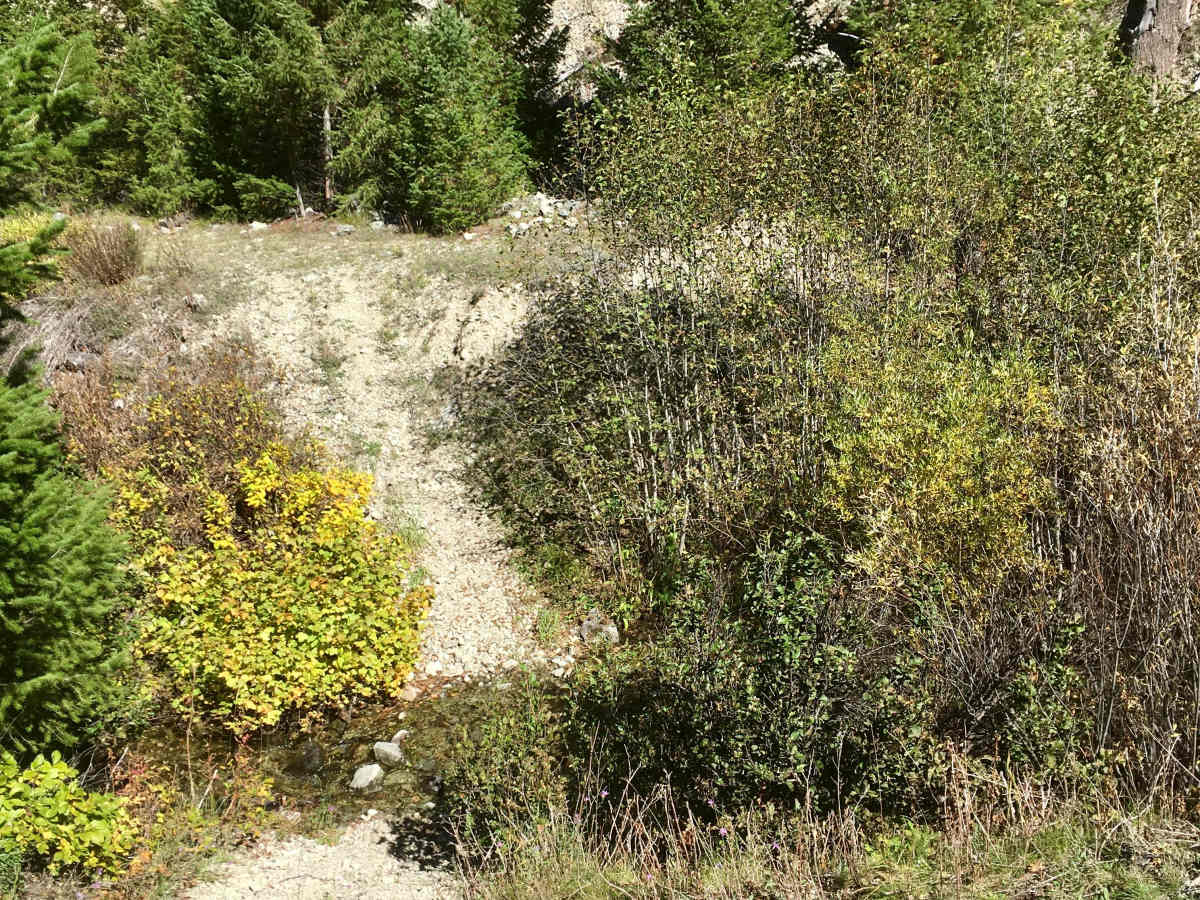 Overwhich Creek ATV Trail photo 6