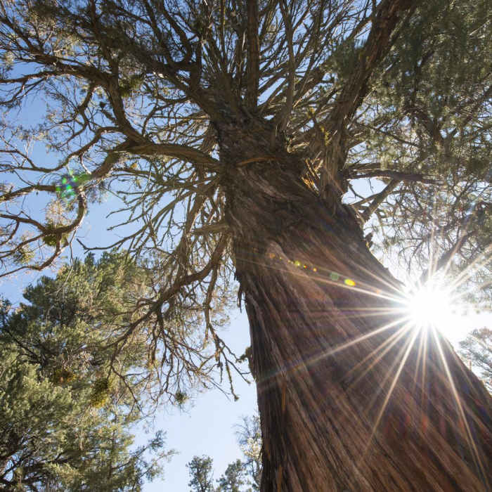 Near Bertha Peak Hike