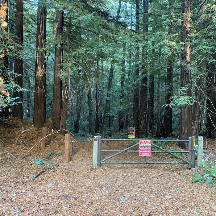 Near State Park Trifecta