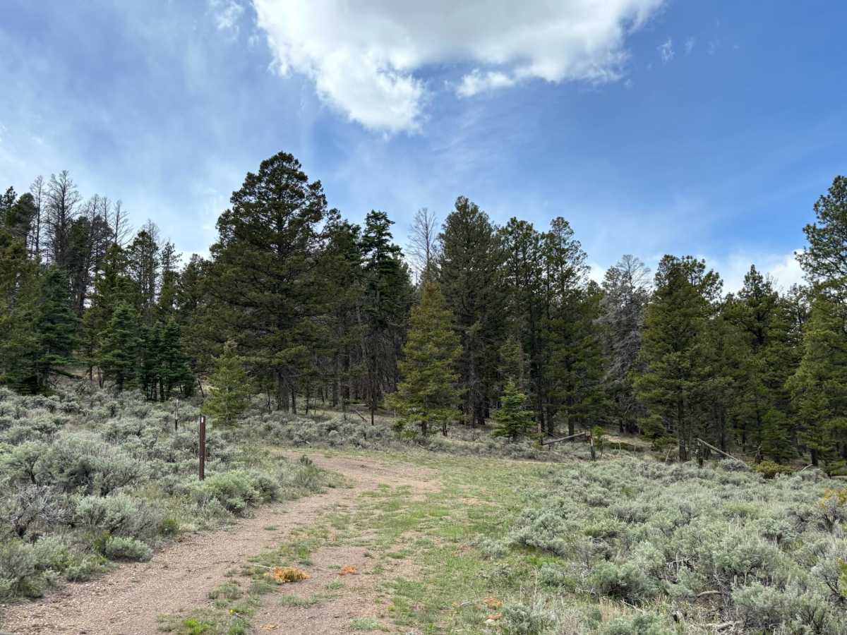 Old Railroad Road photo 3