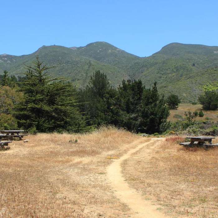 Near Old Pedro Mountain Road