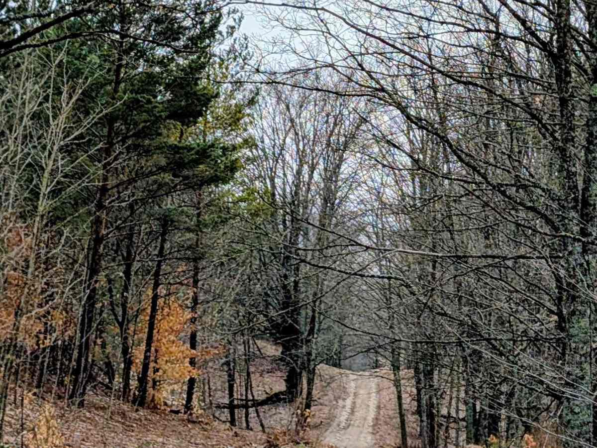 13317 trail photo