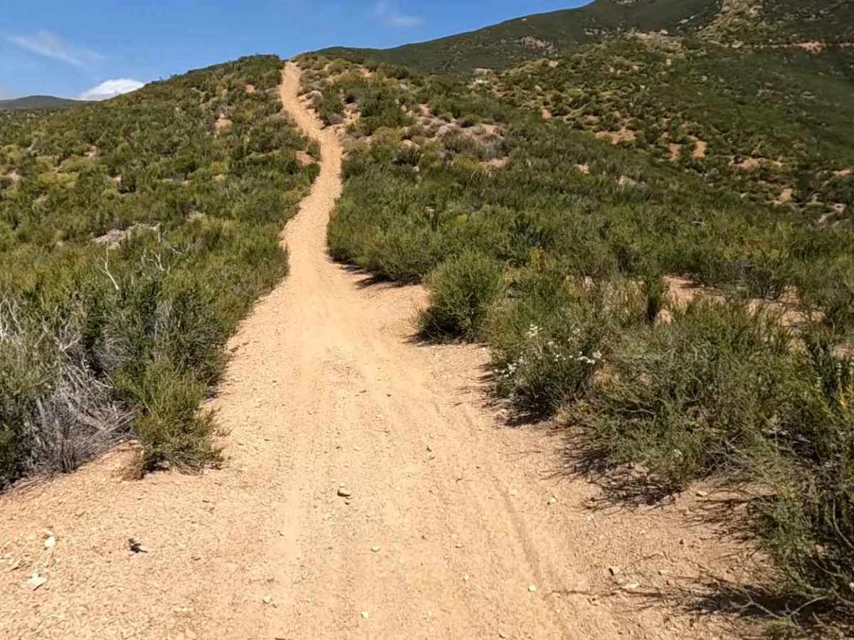 Break OHV Trail photo 3