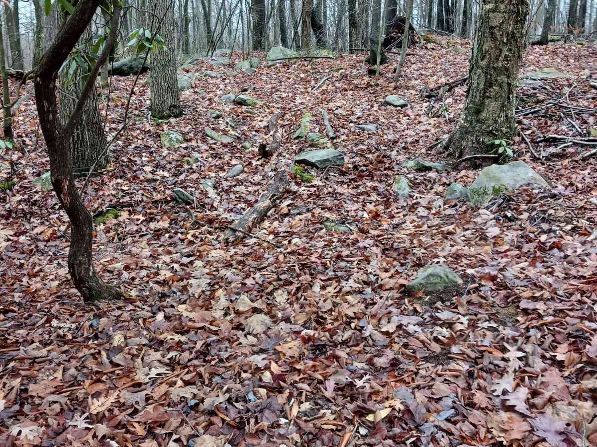 OHV 28 - Rock Run Recreation Area trail photo