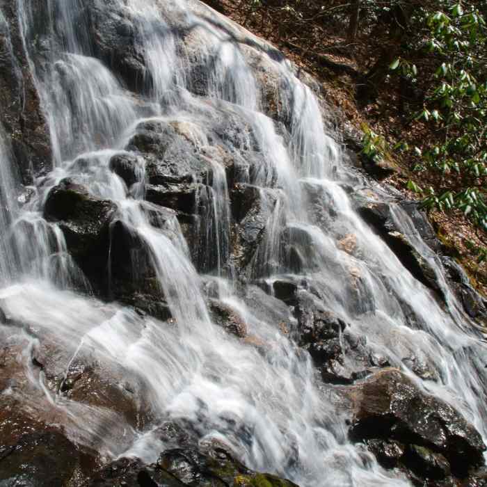 Near Bearden Falls Trails