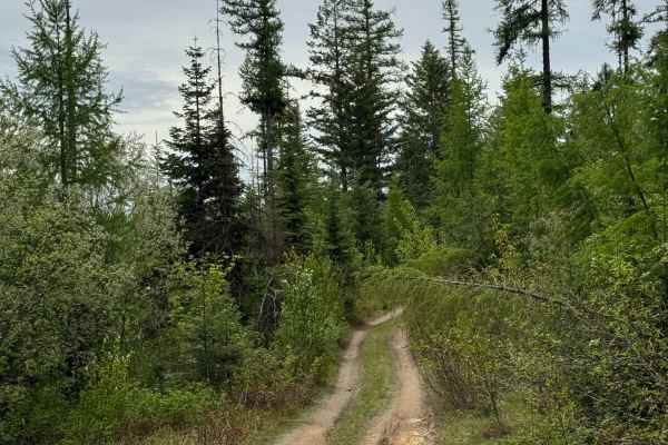 DNR Road E363717