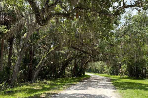 Volusia Bar Road