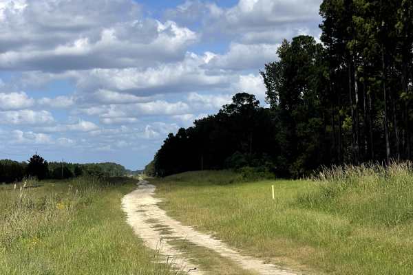 Sidetracks 