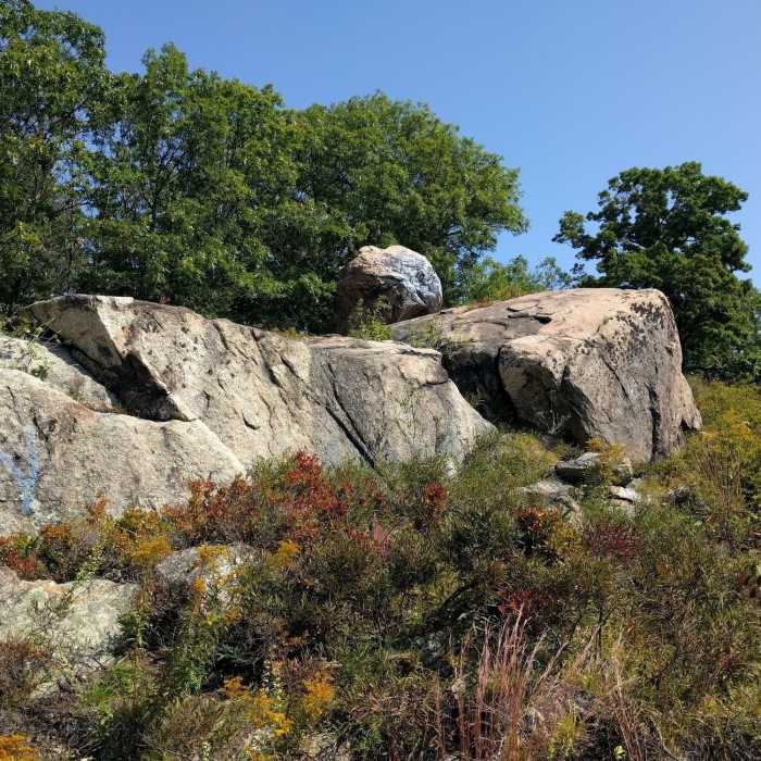 Near Espresso Trail North